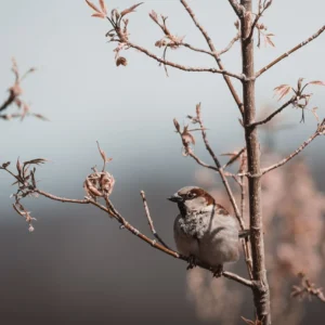 Test 24-10